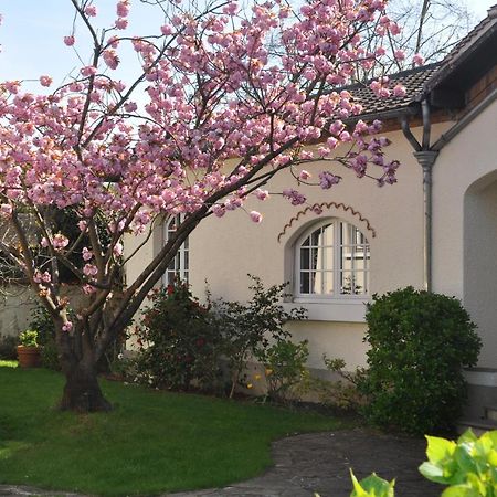 Maison D'Hotes Paris Riverside Saint-Maur-des-Fossés Dış mekan fotoğraf