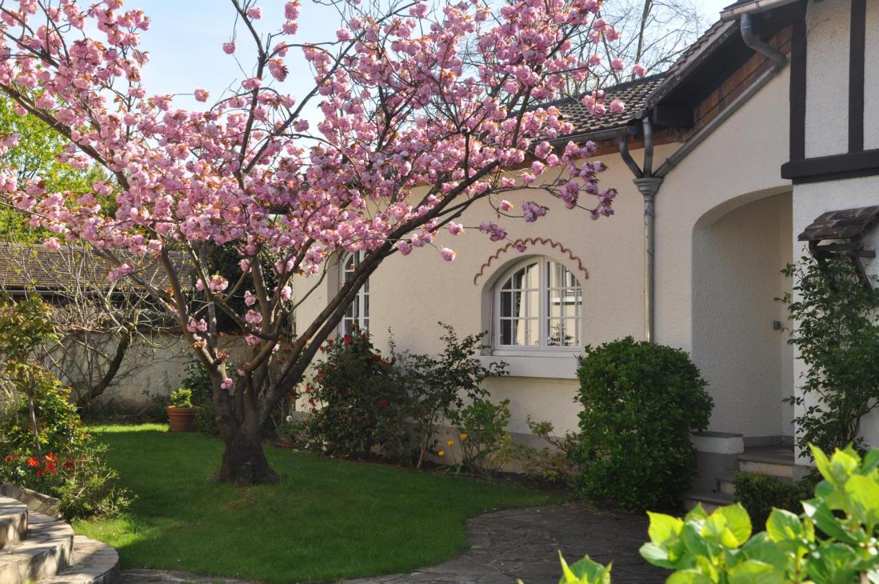 Maison D'Hotes Paris Riverside Saint-Maur-des-Fossés Dış mekan fotoğraf